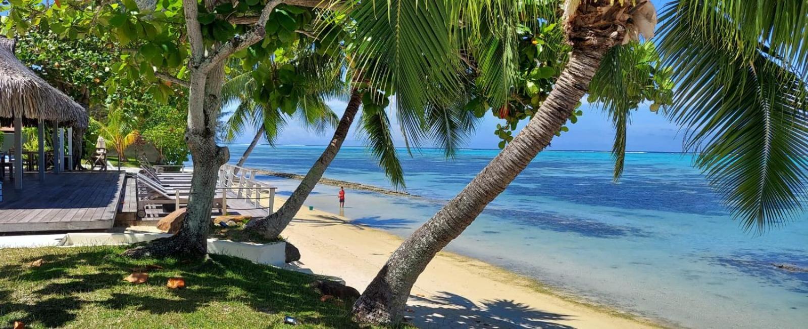 Moorea Island Beach Hotel Exterior foto